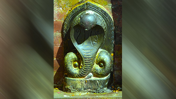 Naga Panchami Mantras For Zodiac Signs