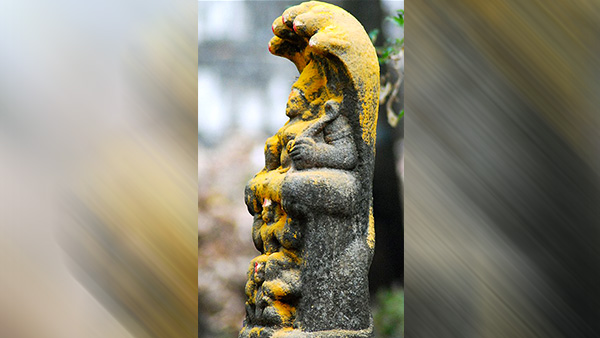 Nag Panchami 2022: Why Do People