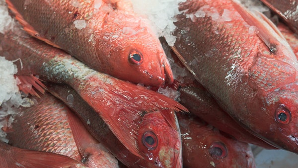 Covid May Survive 30 Days On Frozen Meat