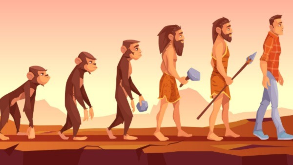 Why Are Our Brains Shrinking?