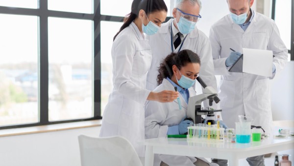 Plastic-Eating Superworms: New Research