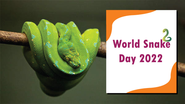 World Snake Day 2022: Date World Snake Day 2022: Date