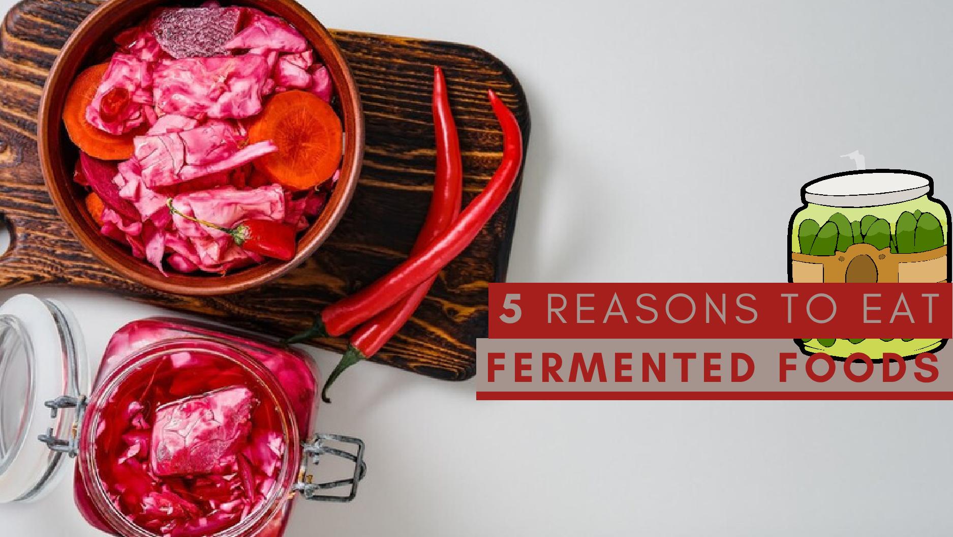 Reasons To Eat Fermented Foods Reasons To Eat Fermented Foods