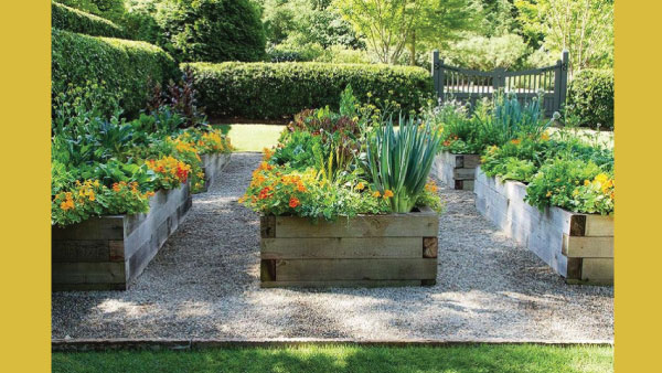 Save Space with Vertical Gardens Save Space with Vertical Gardens