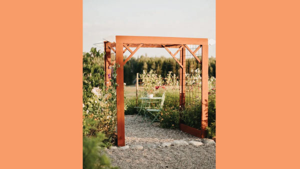 Save Space with Vertical Gardens Save Space with Vertical Gardens