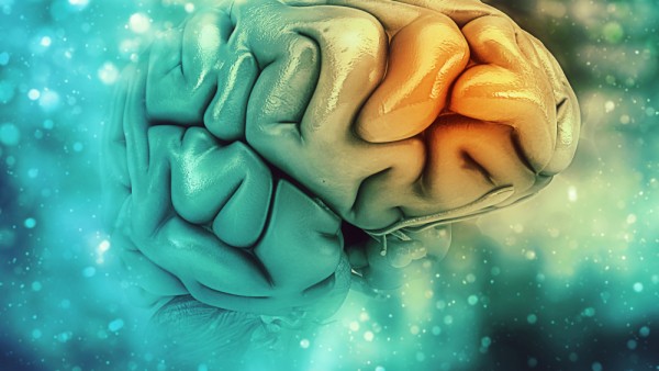 Survival Rates In Patients With TBI