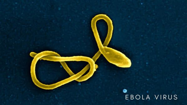 WHO Publishes Ebola Treatment Guide