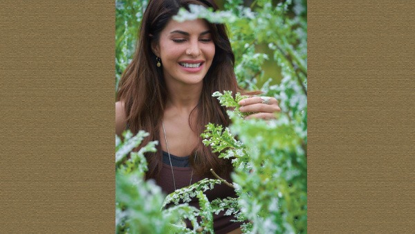 Jacqueline Fernandez Looks Bewitching