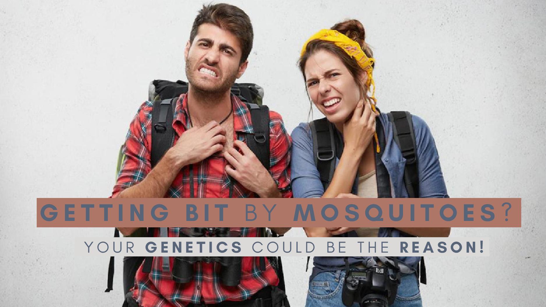 Constantly Getting Bit By Mosquitoes? Your Genetics Could Be The Primary Reason! Constantly Getting Bit By Mosquitoes? Your Genetics Could Be The Primary Reason!