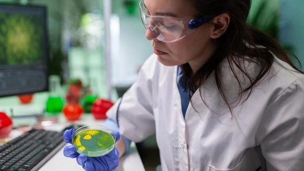 WHO Publishes First-Ever List Of Fungal Pathogens: What You Should Know WHO Publishes First-Ever List Of Fungal Pathogens: What You Should Know