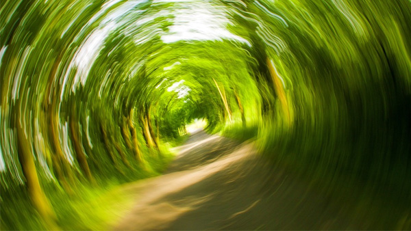 What Is Vestibular Hypofunction?