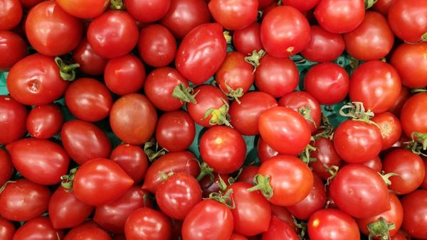 Tomatoes Are Good For Gut Health