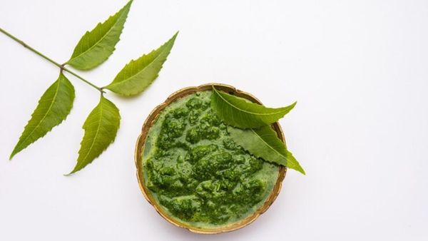 Most Searched Ayurvedic Herbs In 2022