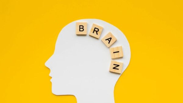 Obesity And Childs Brain Obesity And Childs Brain