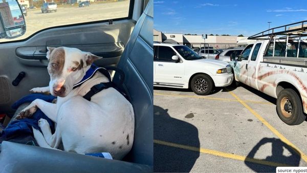 Reckless Driver Who Struck Cars