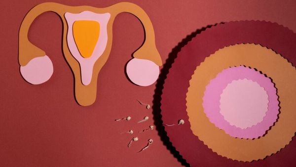 Sperm-Blocking Gel Offers Reliable Contraception