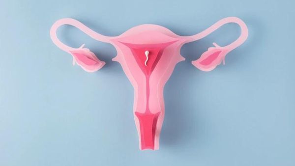 Is It Important To Urinate After Sex