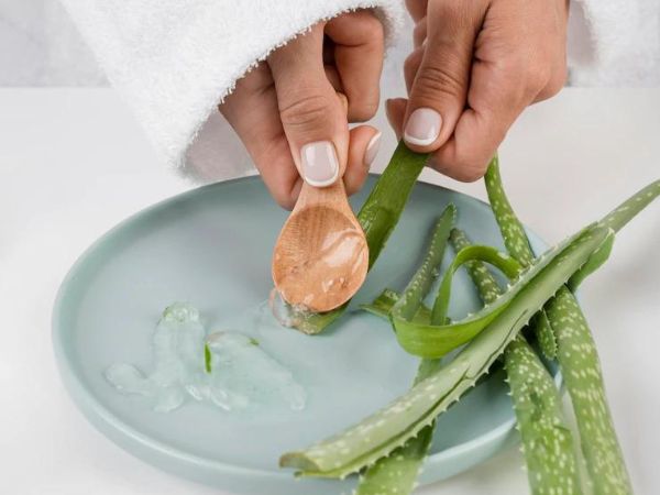 Aloe Vera For Hair Aloe Vera For Hair