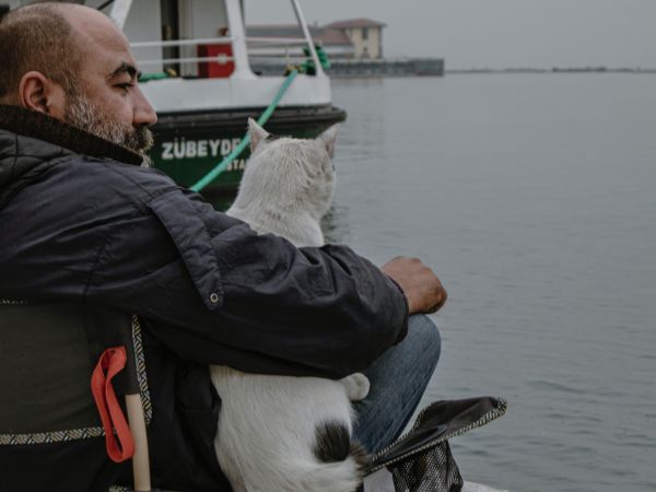 Reason Behind Why Humans Love Cats