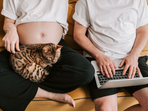 Reason Behind Why Humans Love Cats