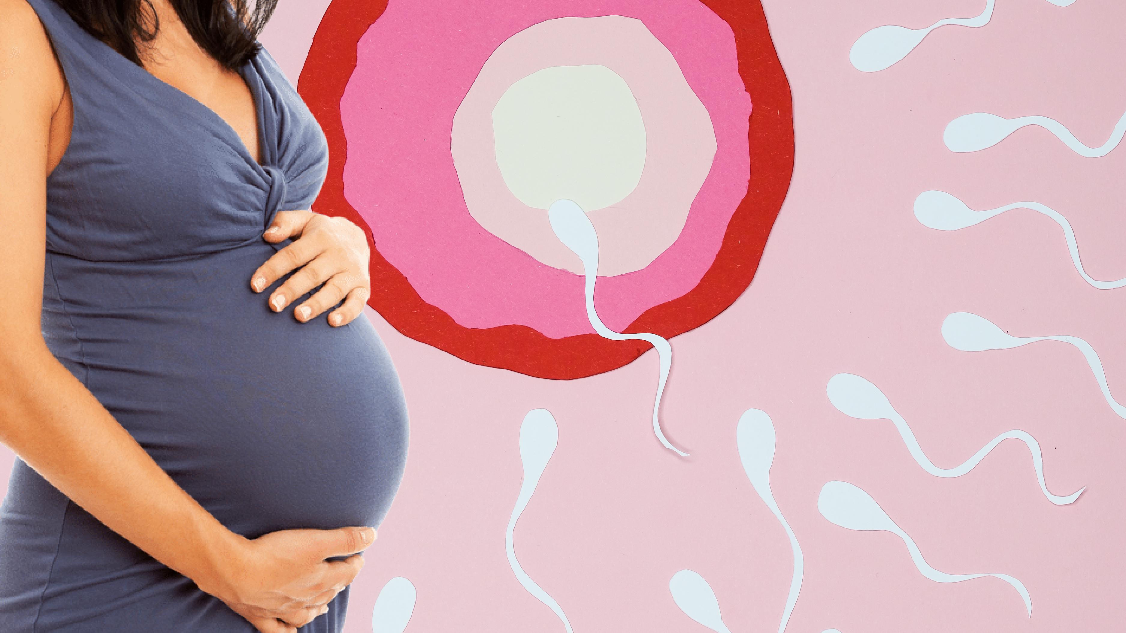 Decan You Get Pregnant Without Having Your Cherry Popped - vzxgp6t