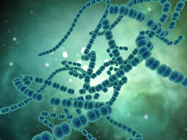 Adenovirus On A Rise In West Bengal