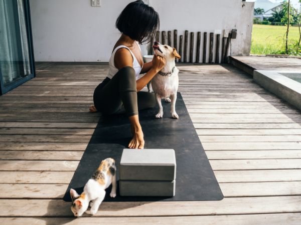 Animals In Disease Detection