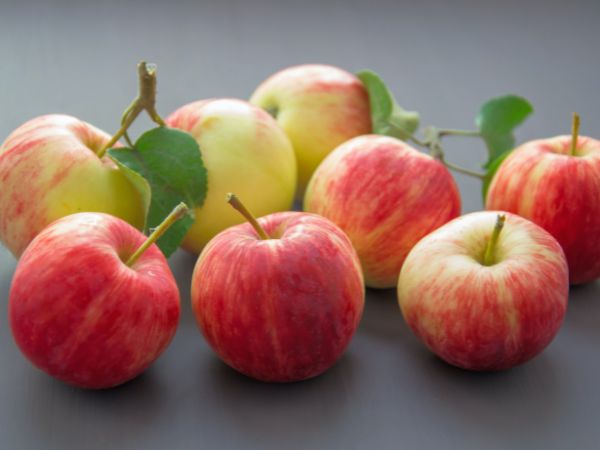 Apples During Winter Months