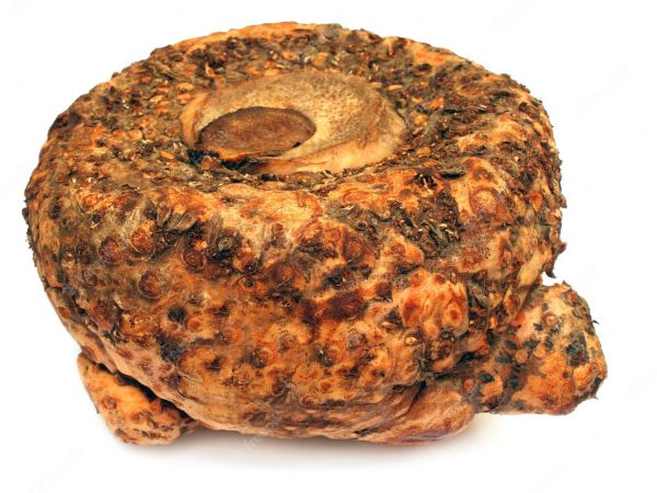 Health Benefits Of Elephant Foot Yam