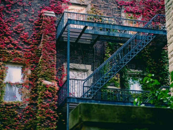 Can Living In Green Places Improve Your Mental Health