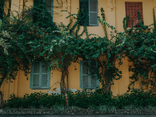 Can Living In Green Places Improve Your Mental Health