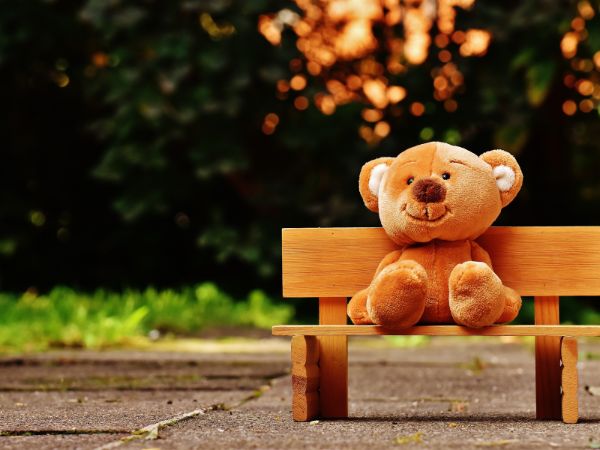 Teddy Day 2023: The Origin Story