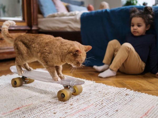 Pet Allergy In Kids: What To Do