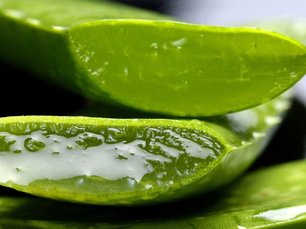  Aloe Vera For Skin