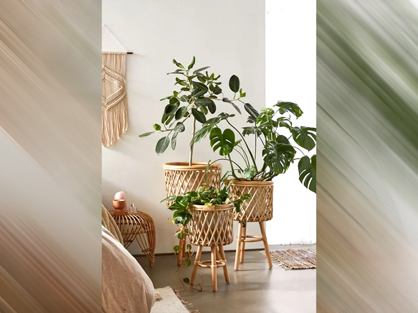 Boho Decor Tips For Your Home