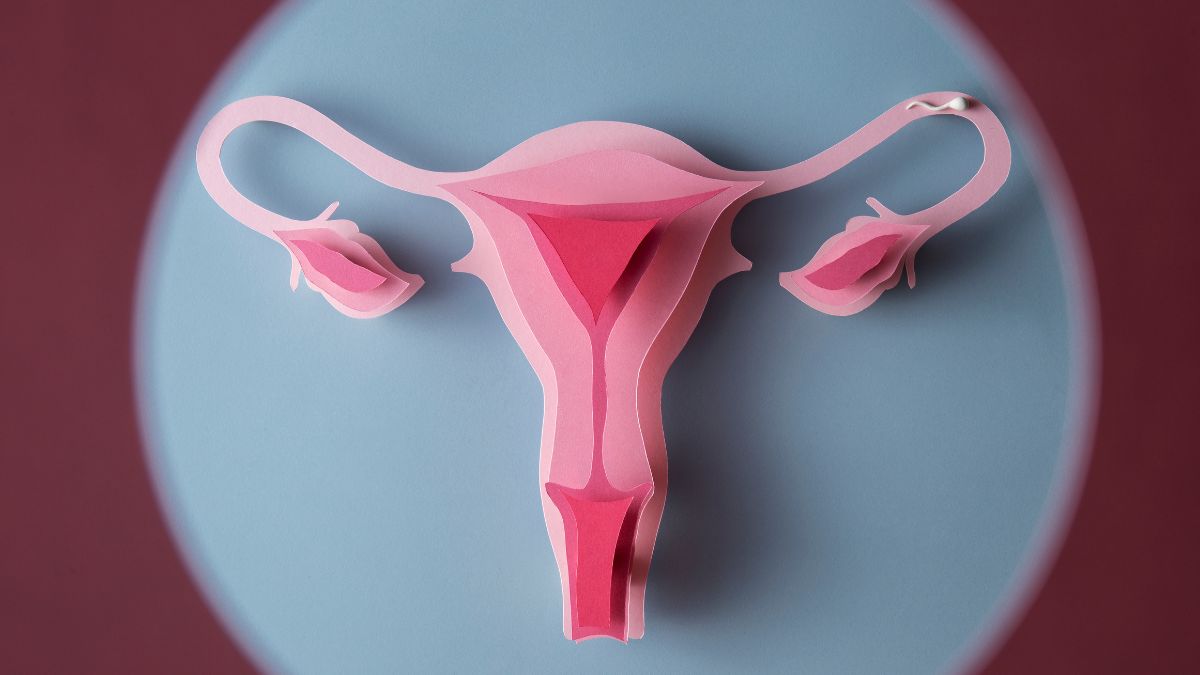 Menopause Myths And Facts