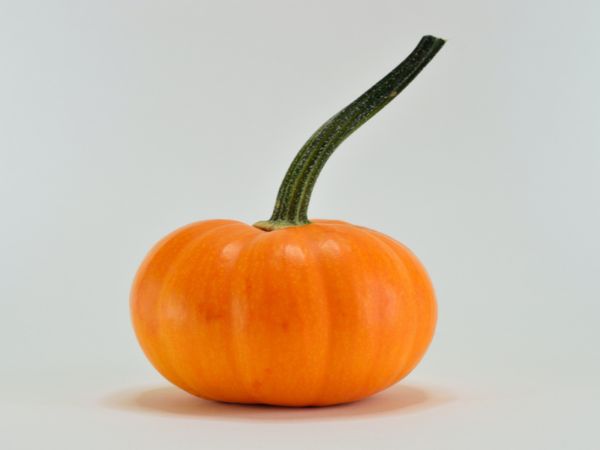 Pumpkin For Skincare