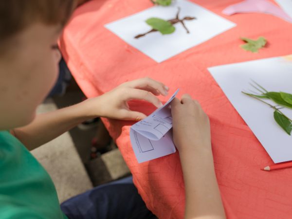 Summer Camps Are Good For Your Kids