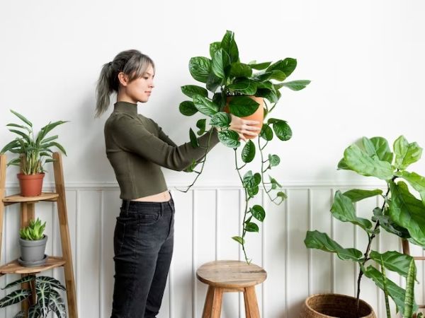 Summer Fatigue Summer Fatigue