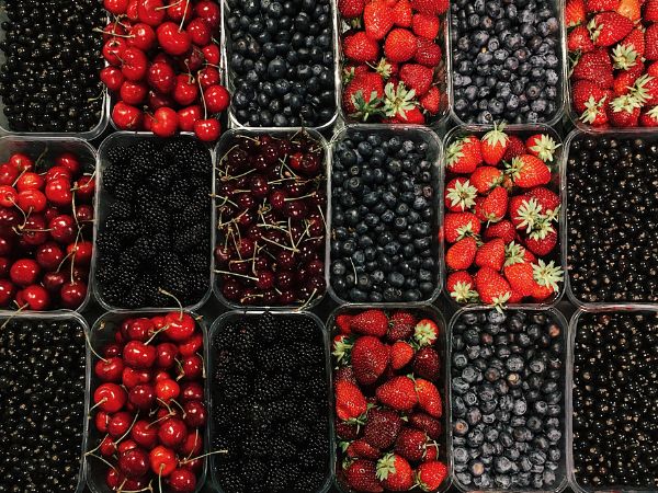 Foods To Reverse Liver Damage