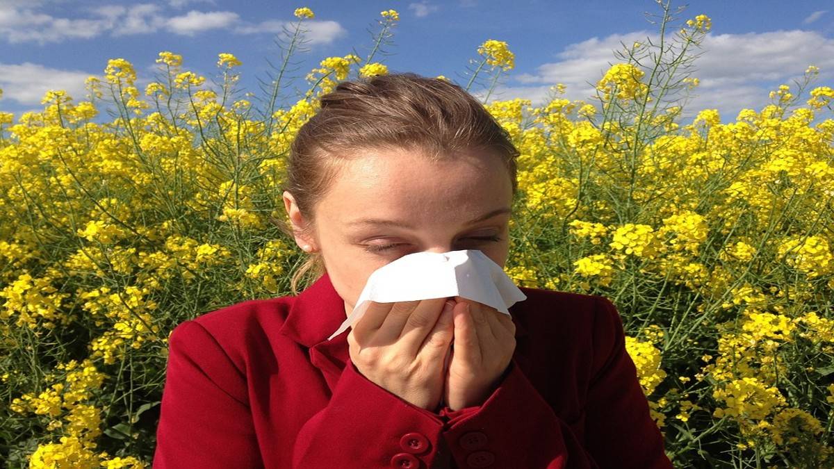 Seasonal Allergies During Summer Seasonal Allergies During Summer