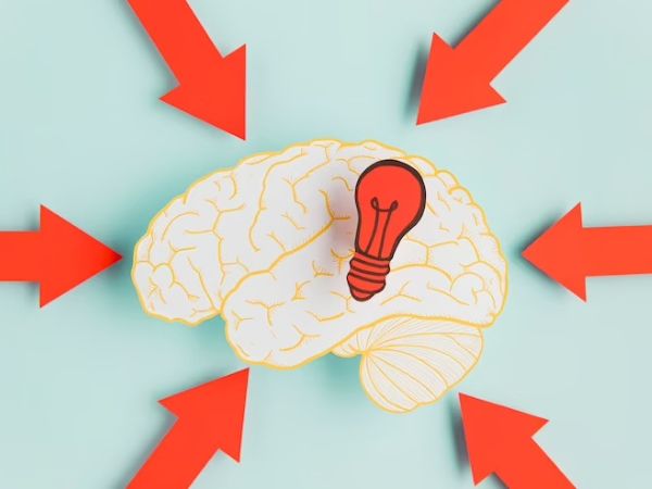 Humans Only Use 10 % Of Our Brains