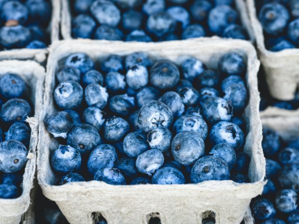 What Happens If You Eat Blueberries Everyday