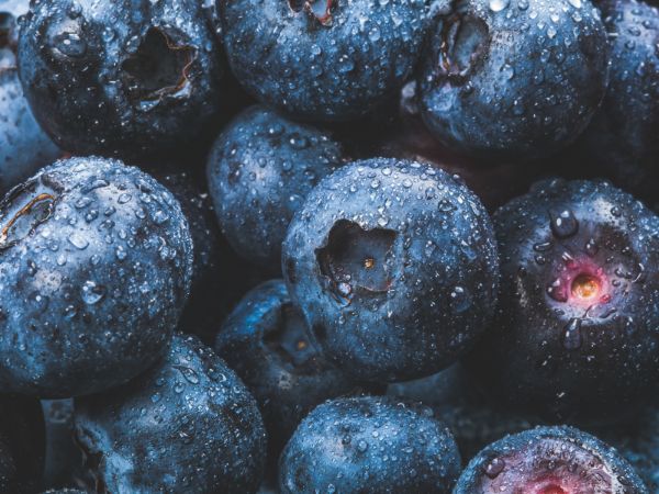 What Happens If You Eat Blueberries Everyday
