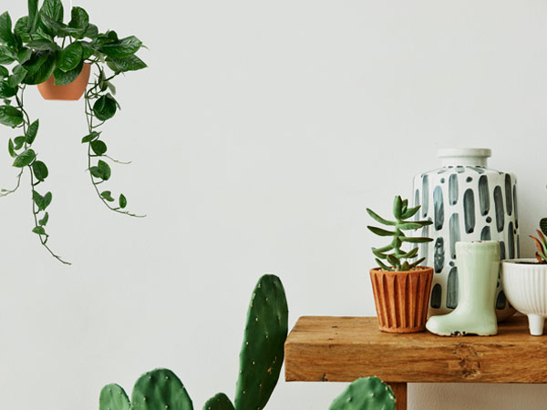 Decor Ideas To Make Your Home