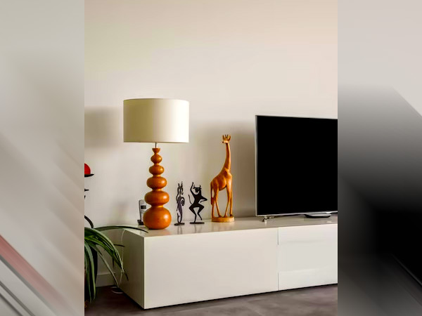 5 Decoration Ideas To Style Your TV Unit