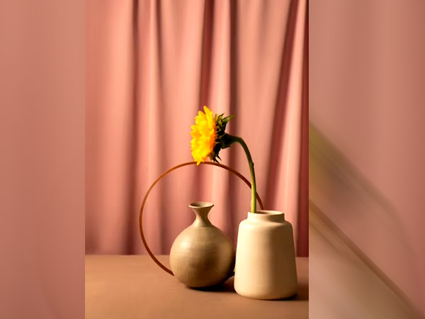 Best Ways To Add Terracotta In Your Home