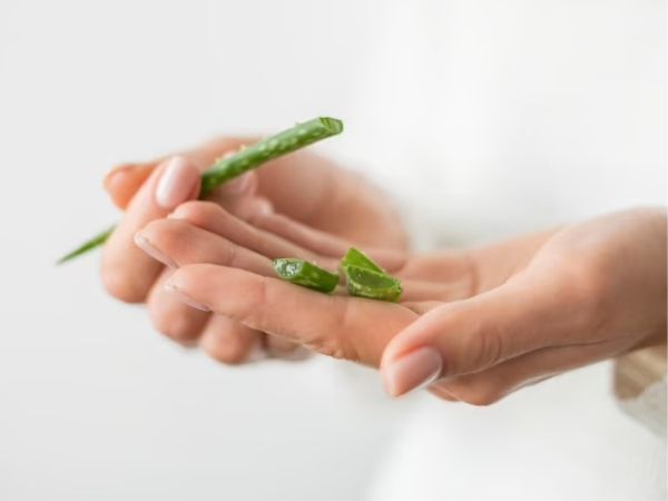 Ways To Use Aloe Vera For Sunburn