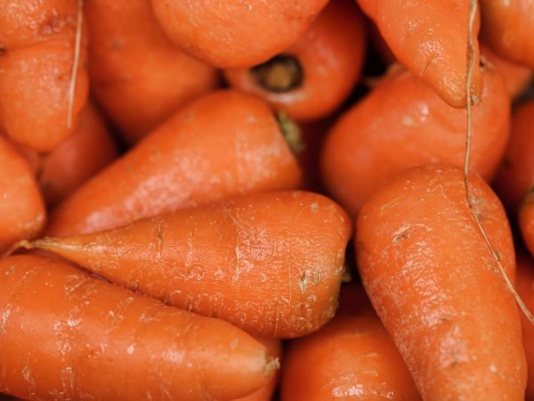 Can Carrots Give You Night Vision