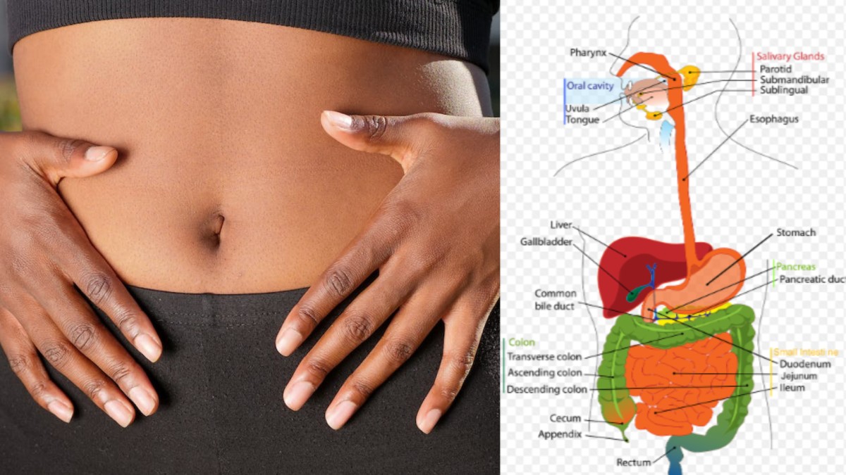 How Does Gallbladder Affect Your Gut Health? Exploring The Connection